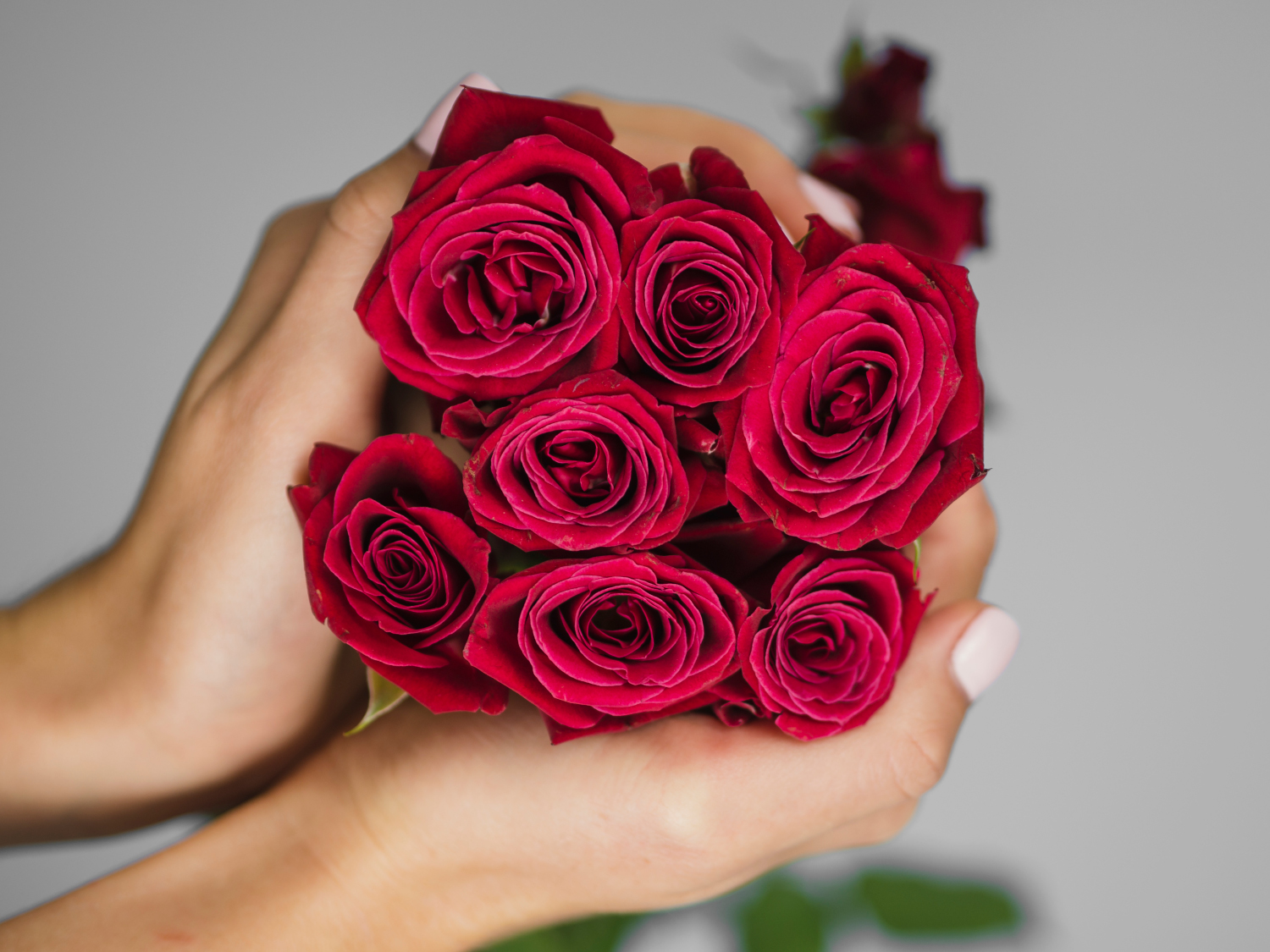nombre impair roses blog art floral