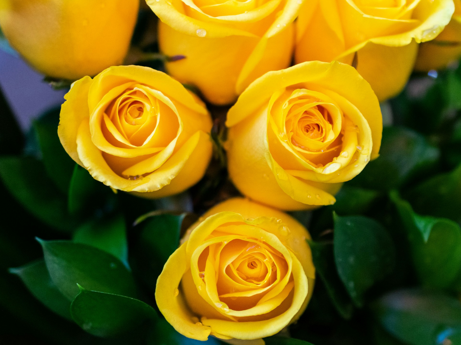 roses en nombre impair blog art floral petite fleur