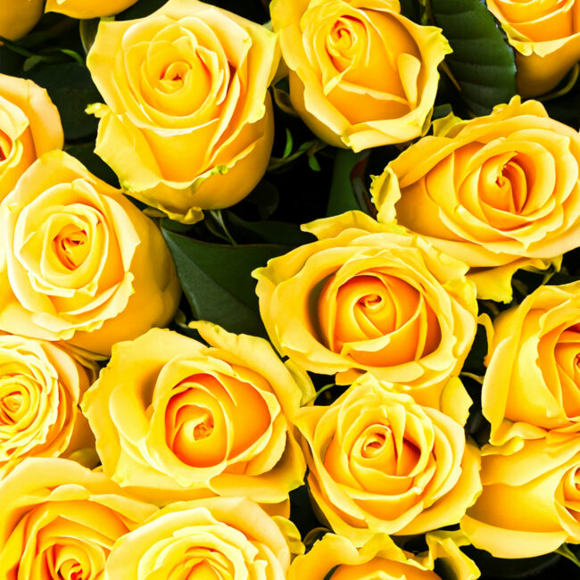 roses en nombre impair petite fleur blog art floral
