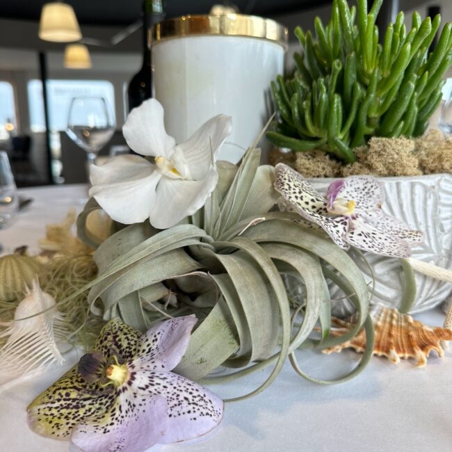décoration florale maritime mer petite fleur