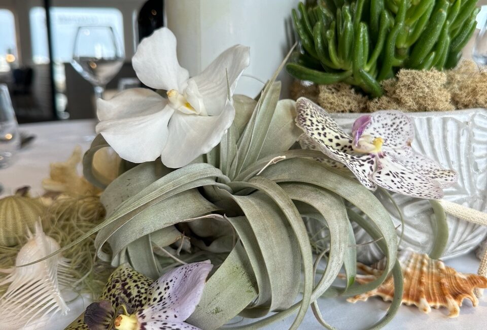 décoration florale maritime mer petite fleur